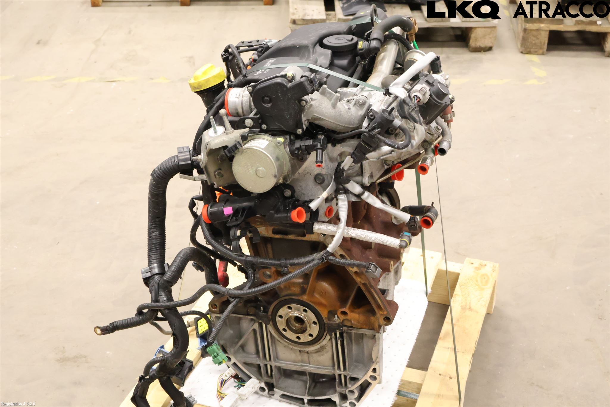 Nissan QASHQAI+2  10-14 Motor Diesel