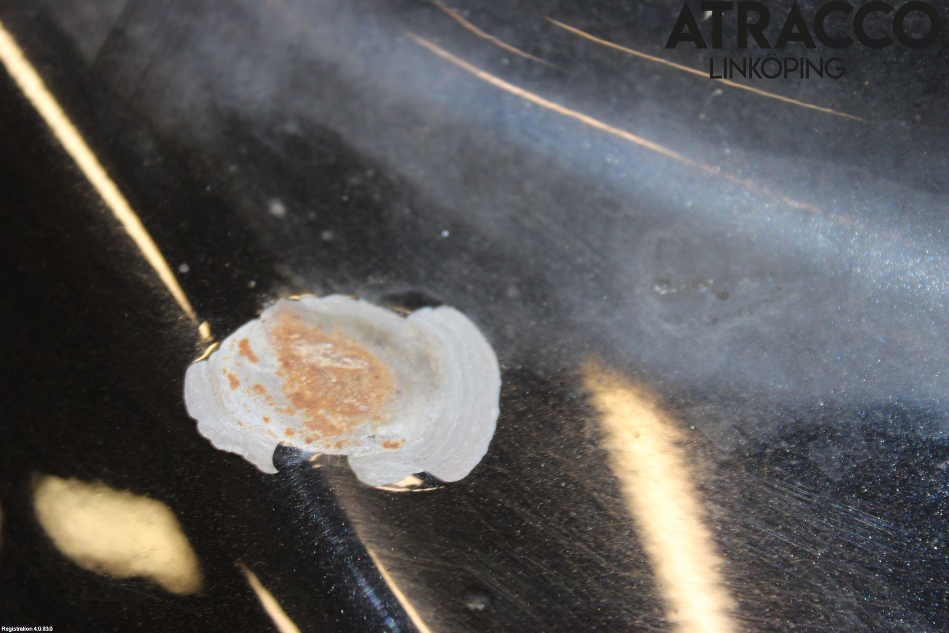 Volvo V60 11-13 Baklucka Kombi