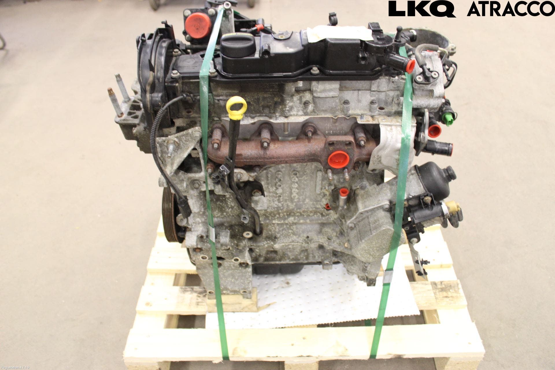 Ford FOCUS 11-14 Motor Diesel