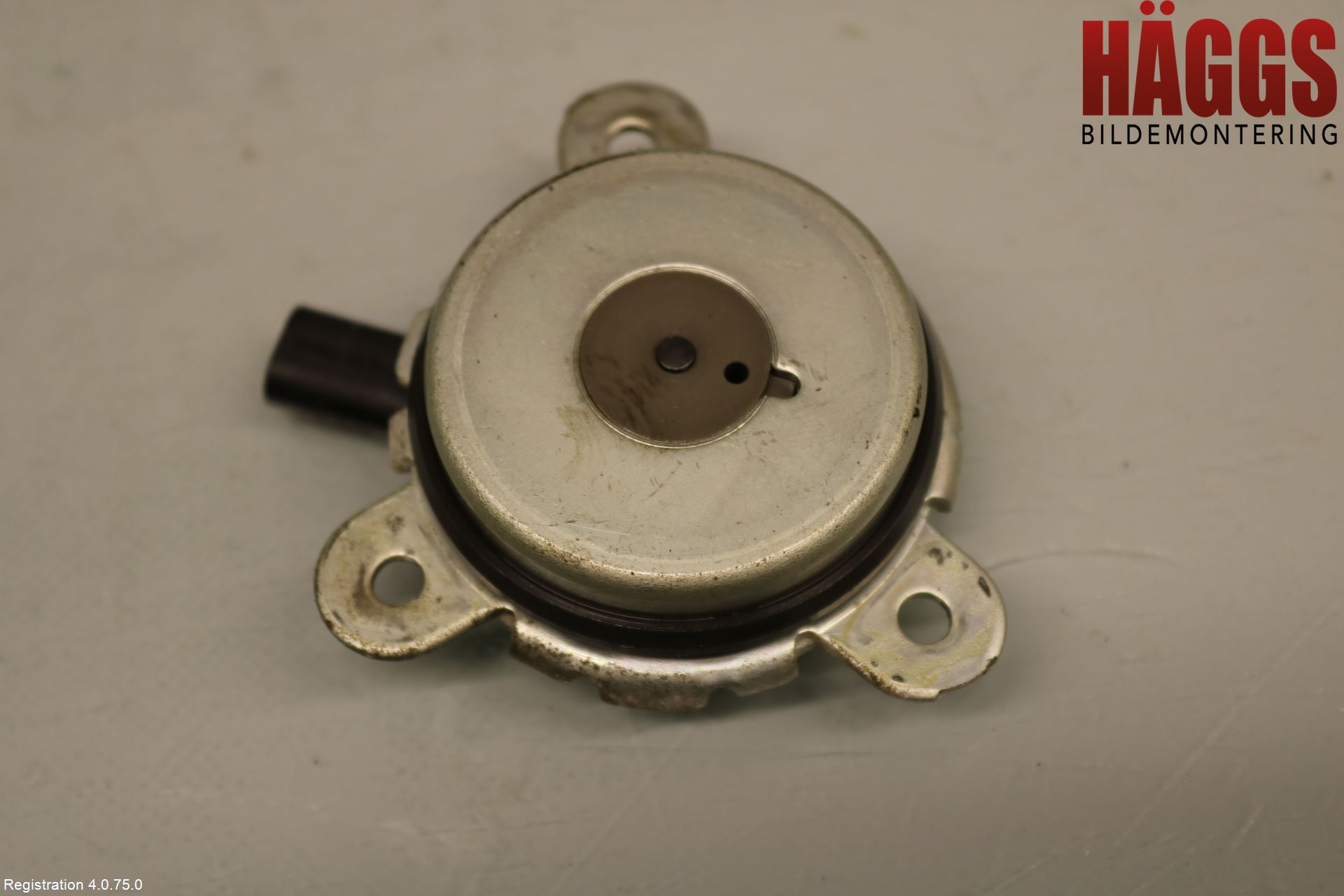 Ford FOCUS 19- Kamställningsventil