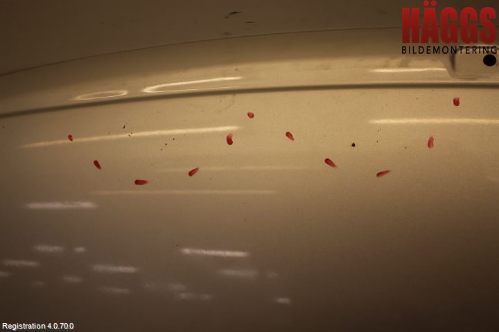 Ford FOCUS 08-11 Huv Fram