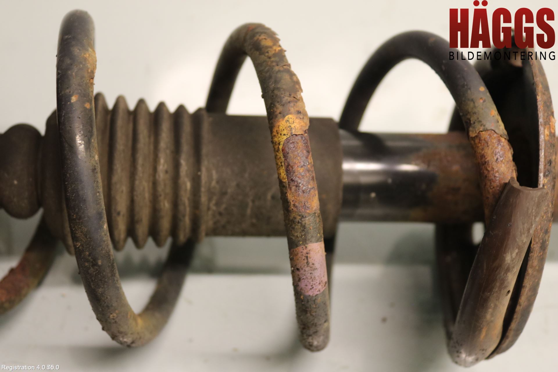 Dacia LOGAN VAN Fjäderben Fram Vänster