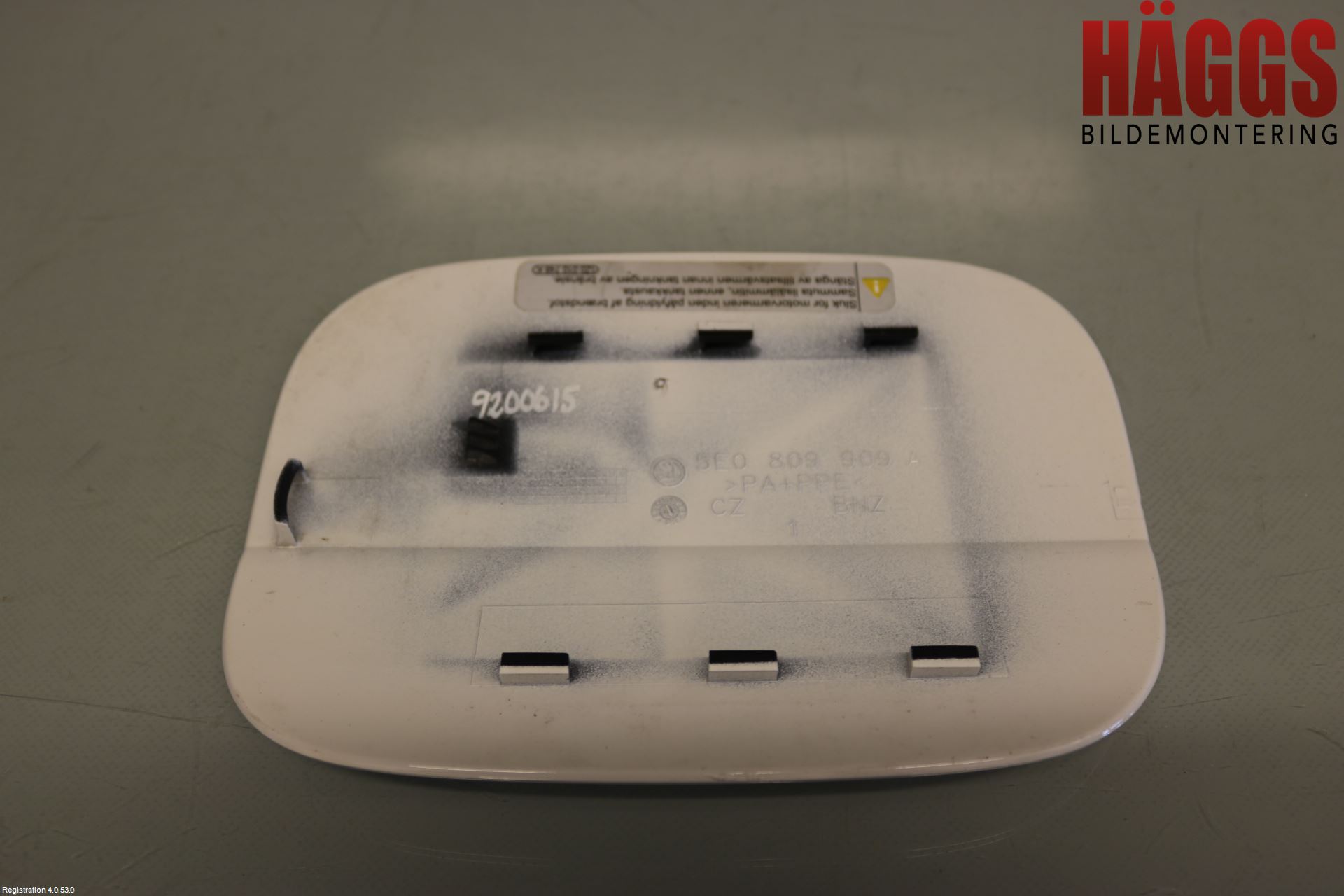 Skoda OCTAVIA (5E) 13-20 Tanklucka