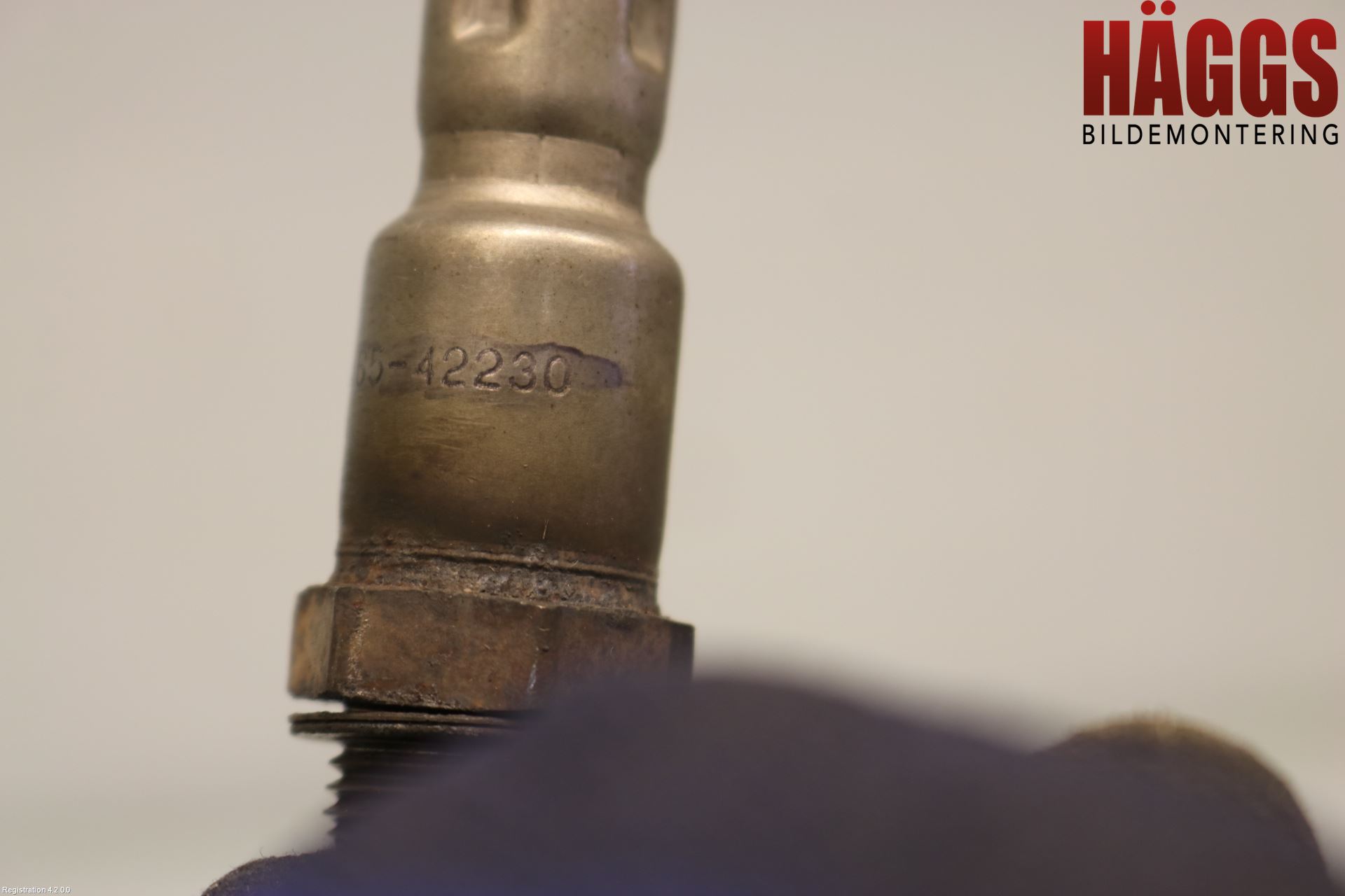 Lexus NX 300h 15-21 Injlambdasond