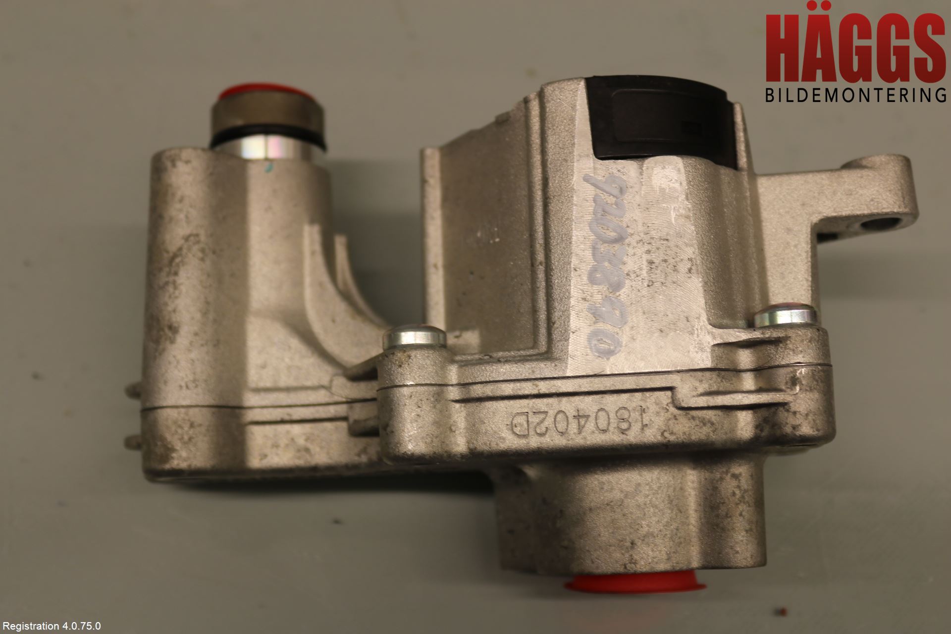 Ford FOCUS 19- Vattenpump