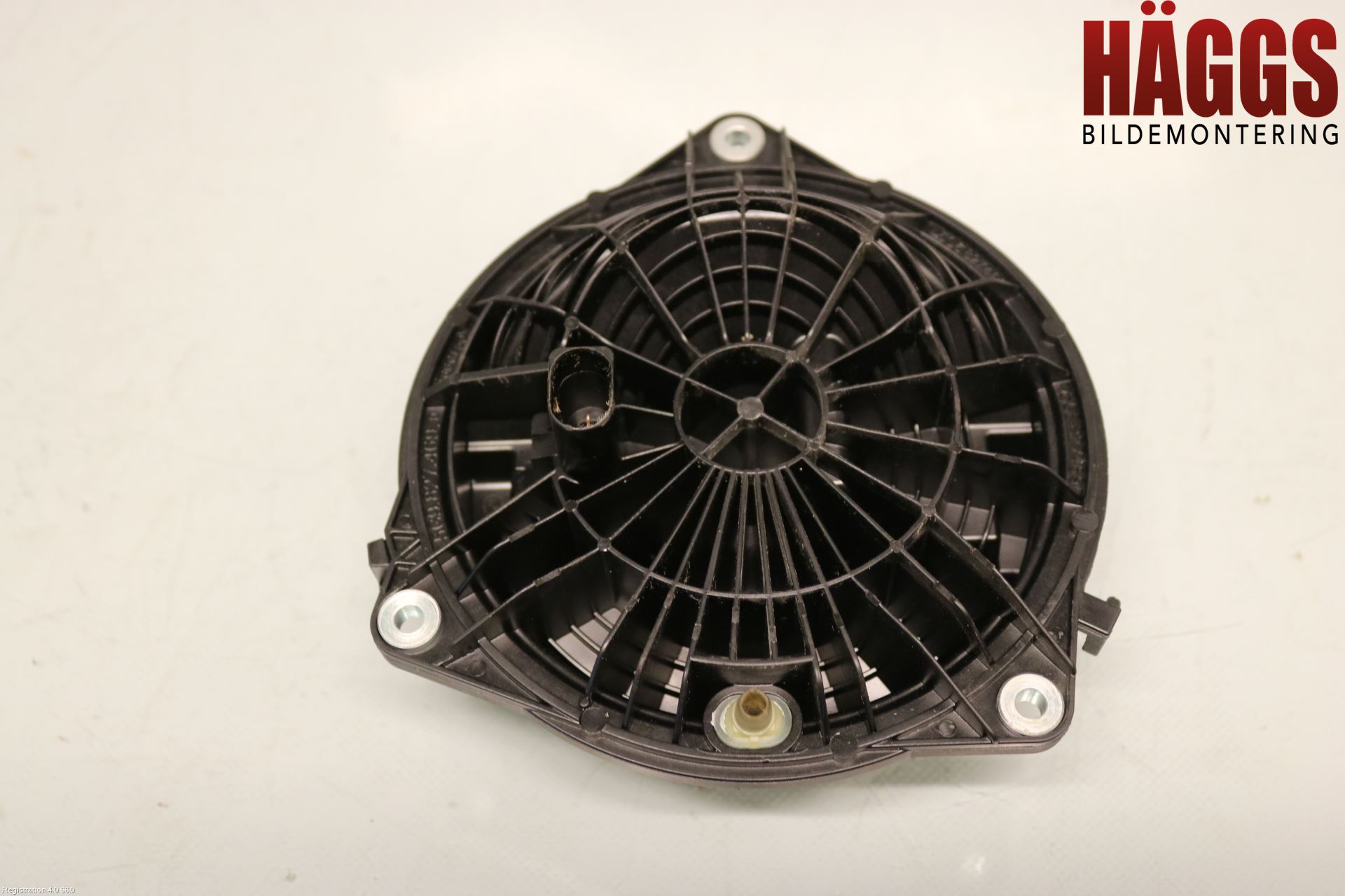 Volkswagen VW GOLF / E-GOLF VII 13-20 Bakluckehandtag