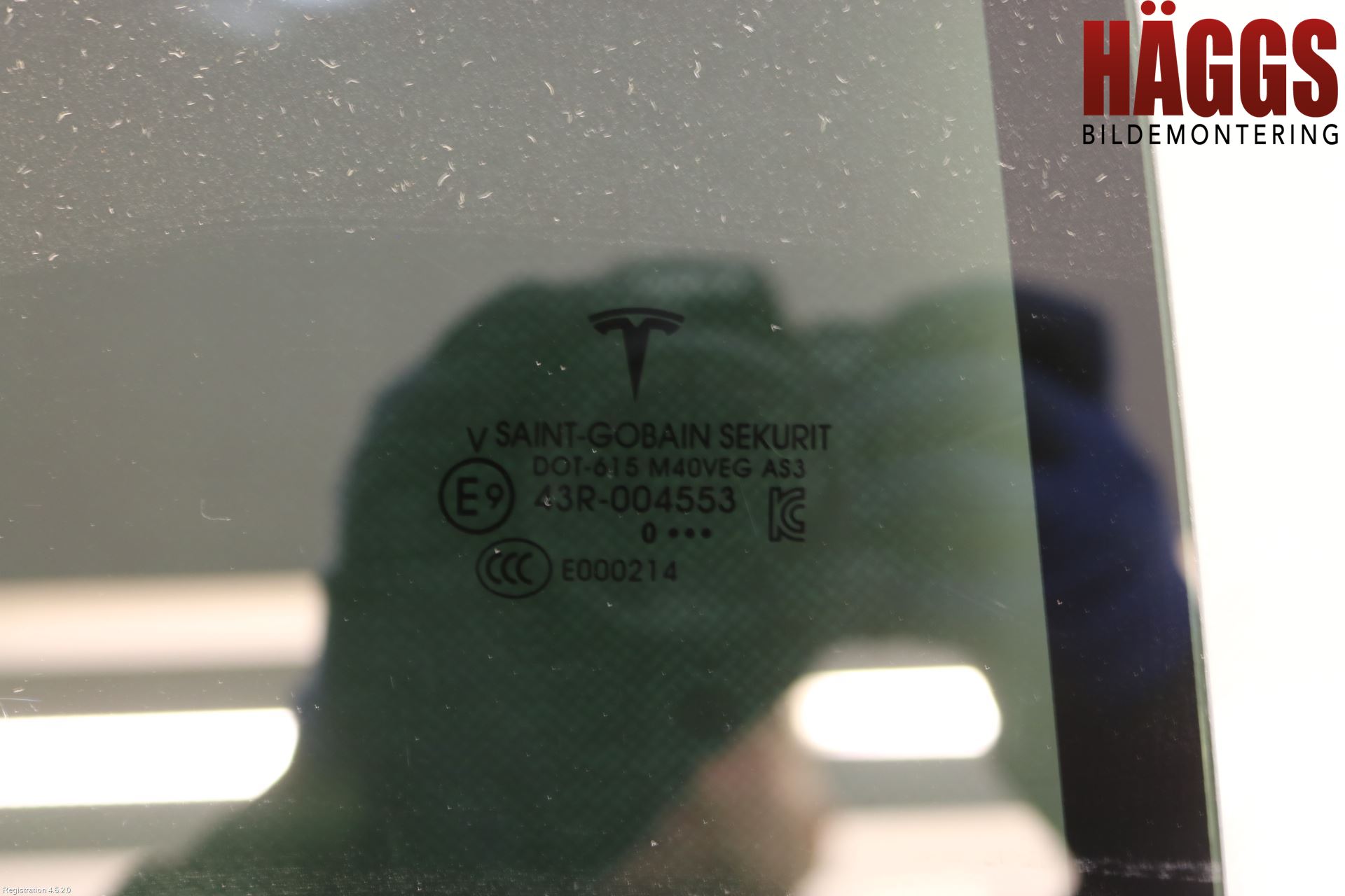Tesla MODEL X 16- Dörruta Bak Höger