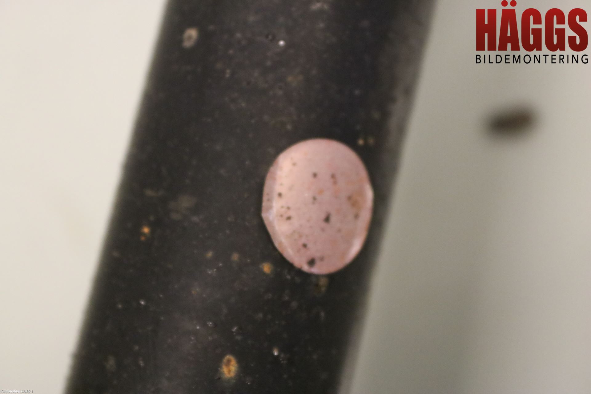 Renault CLIO III  09-12 Stötdämpare Bak