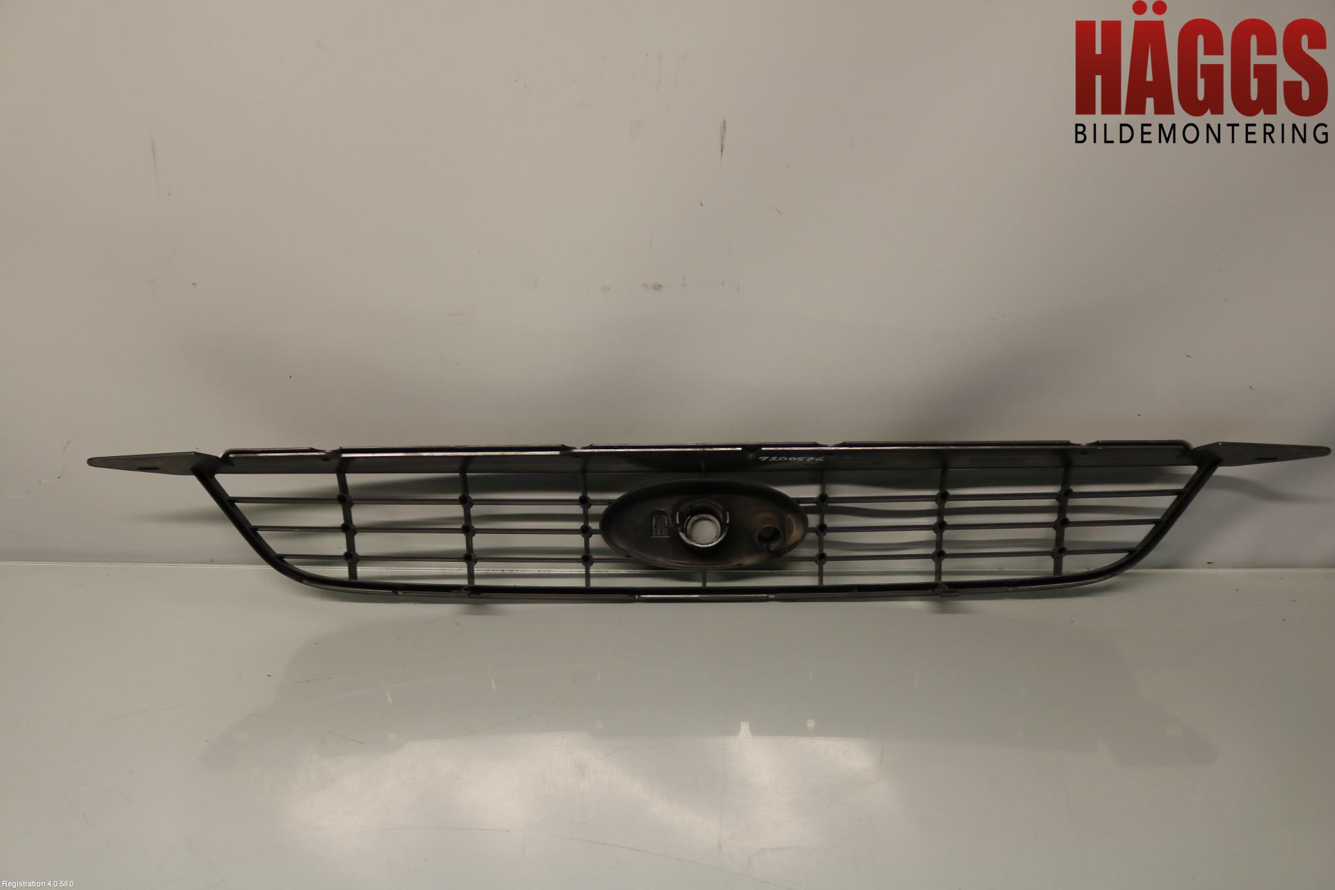 Ford FOCUS 08-11 Grill-Galler