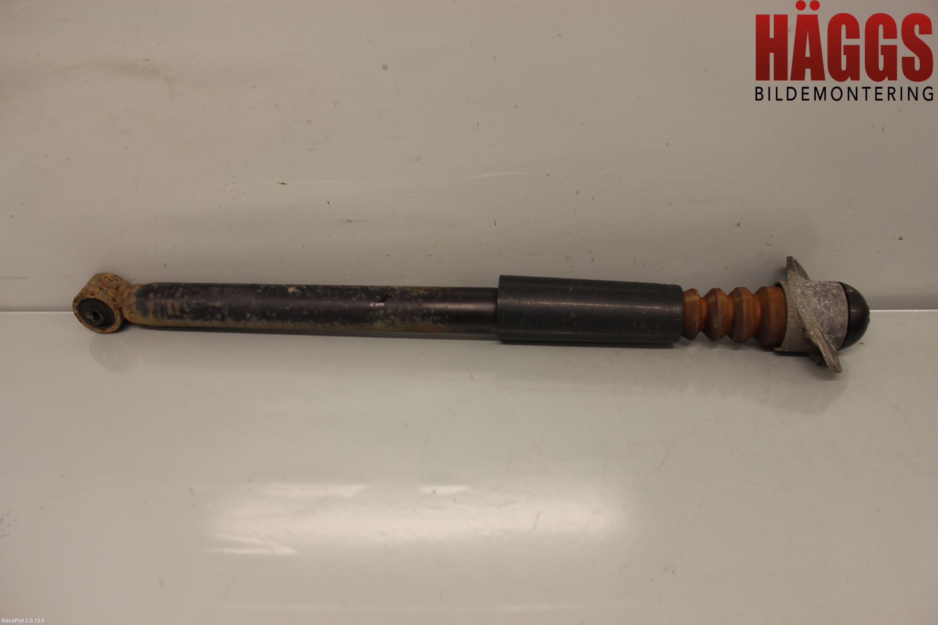 Skoda PRAKTIK Stötdämpare Bak