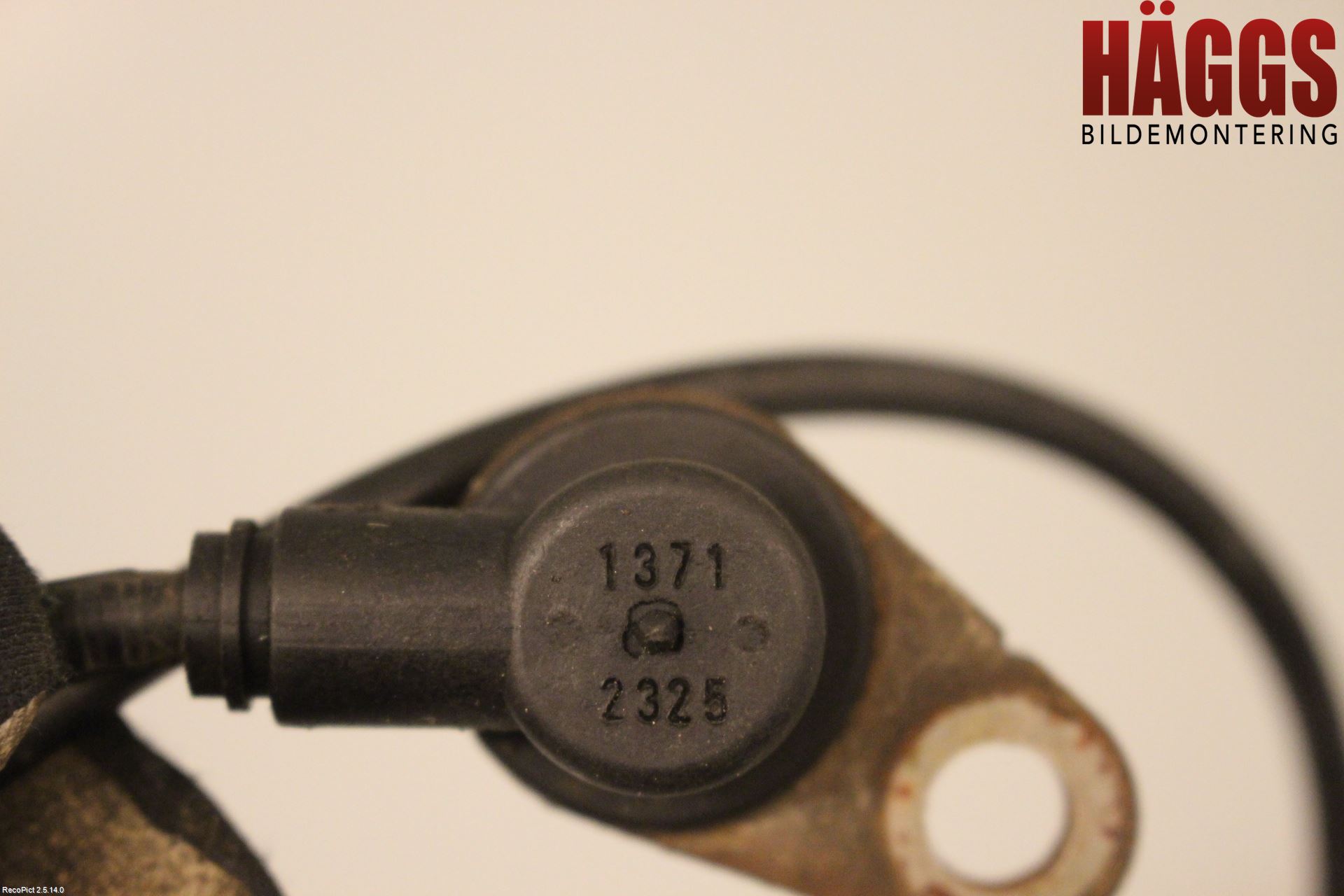 Nissan X-TRAIL     01-07 Abs Sensor