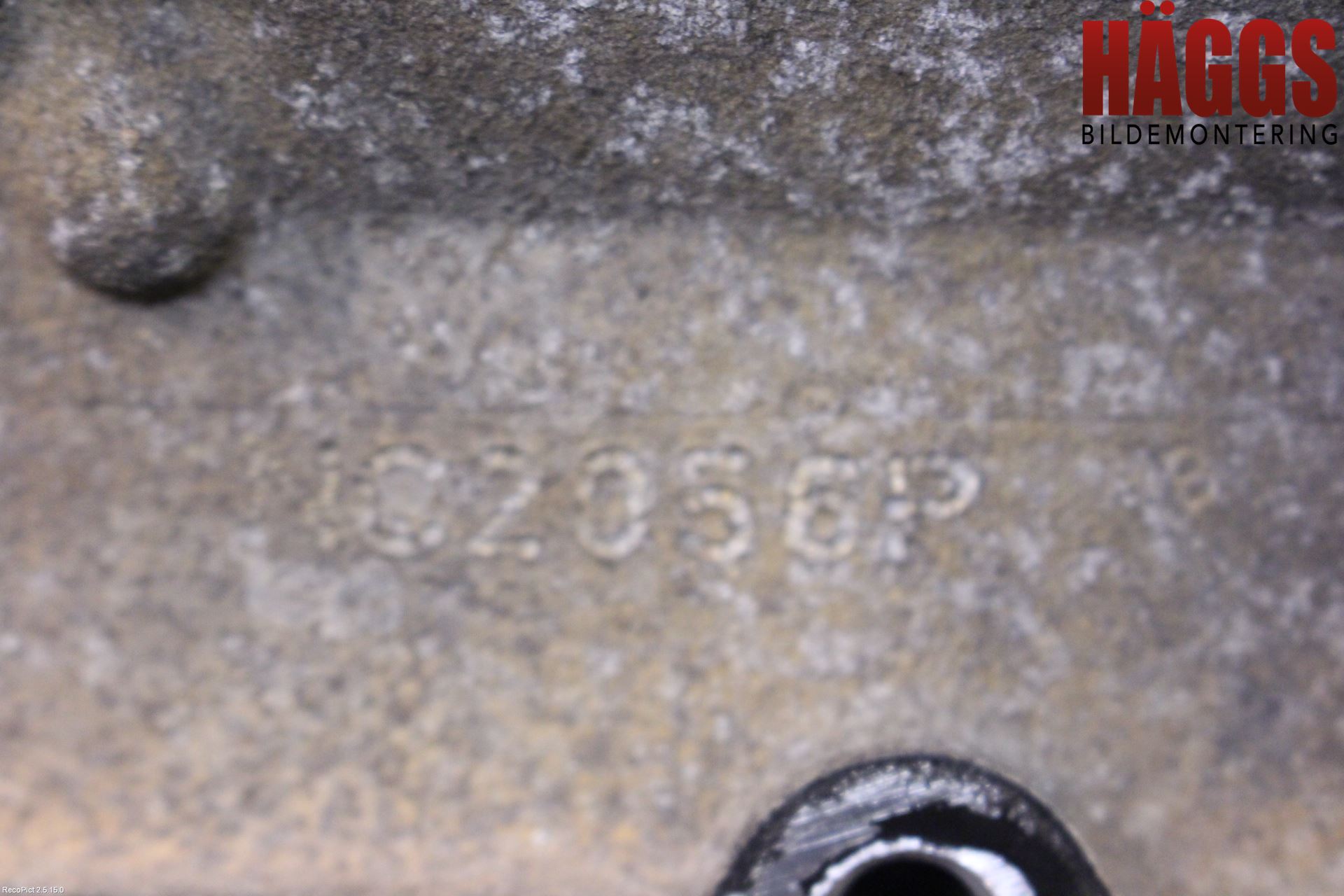 Ford FOCUS     99-04 Motor Bensin