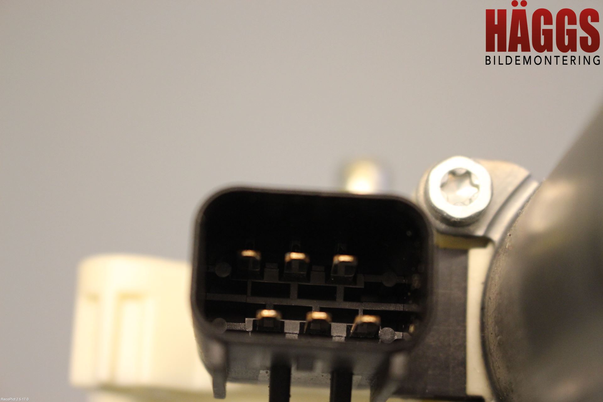 Dodge NITRO Fönsterhissmotor