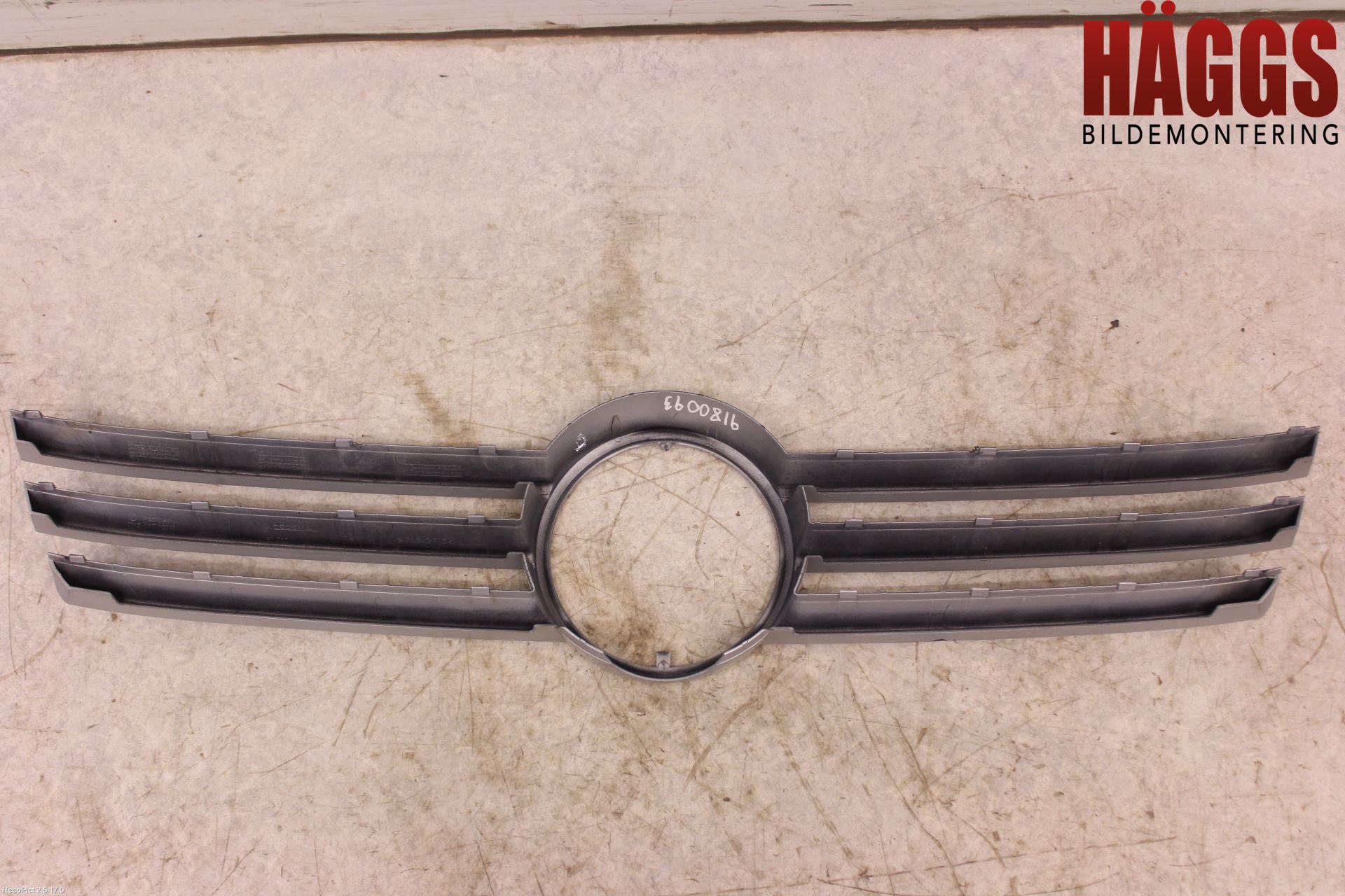 Volkswagen VW TRANSP/CARAVELLE (T5) 04-15 Grill-Galler