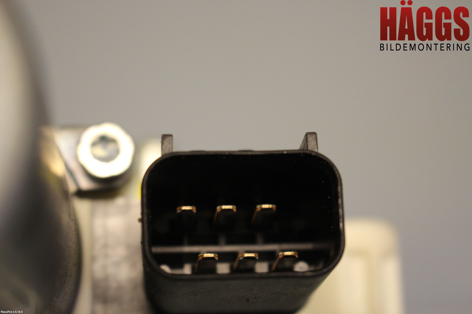 Dodge NITRO Fönsterhissmotor