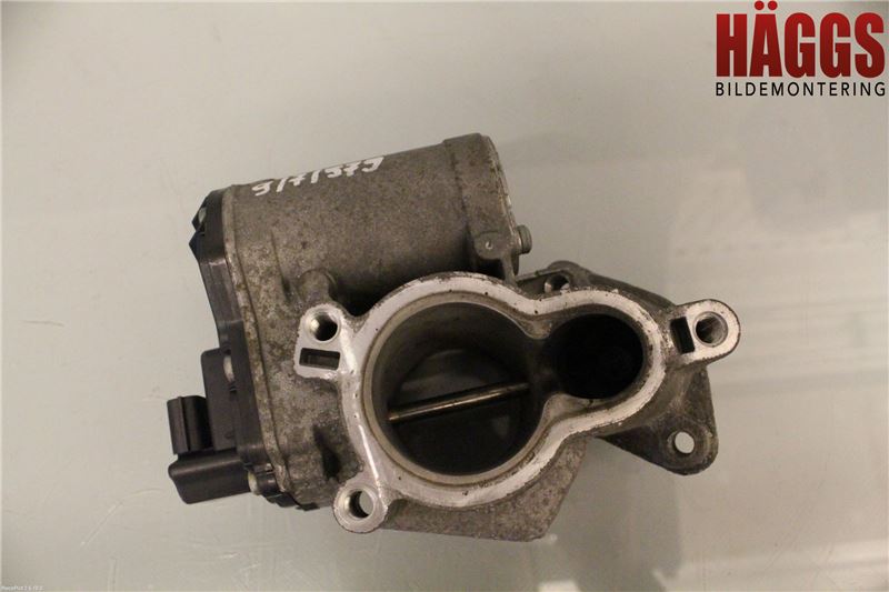 Renault MASTER III  10-14 Egr Ventil