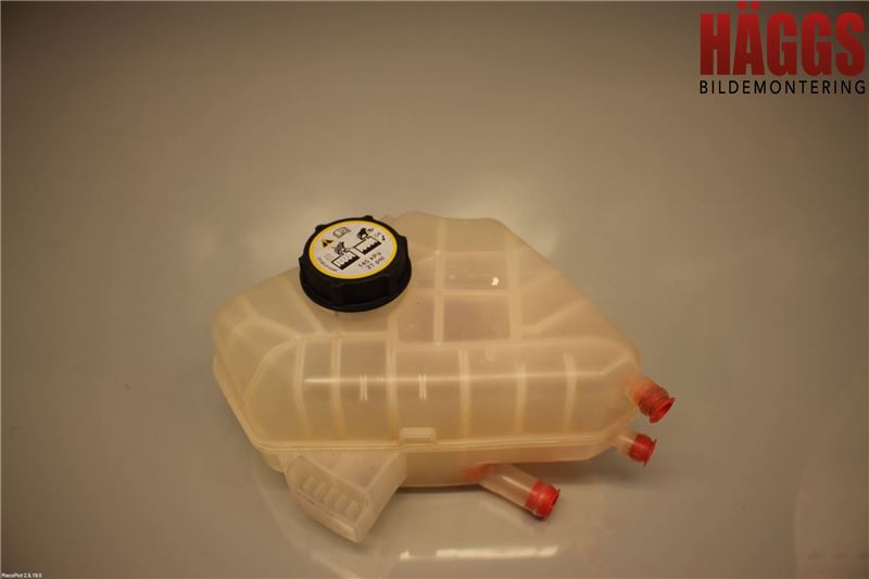 Ford FIESTA 09-12 Expansionstank