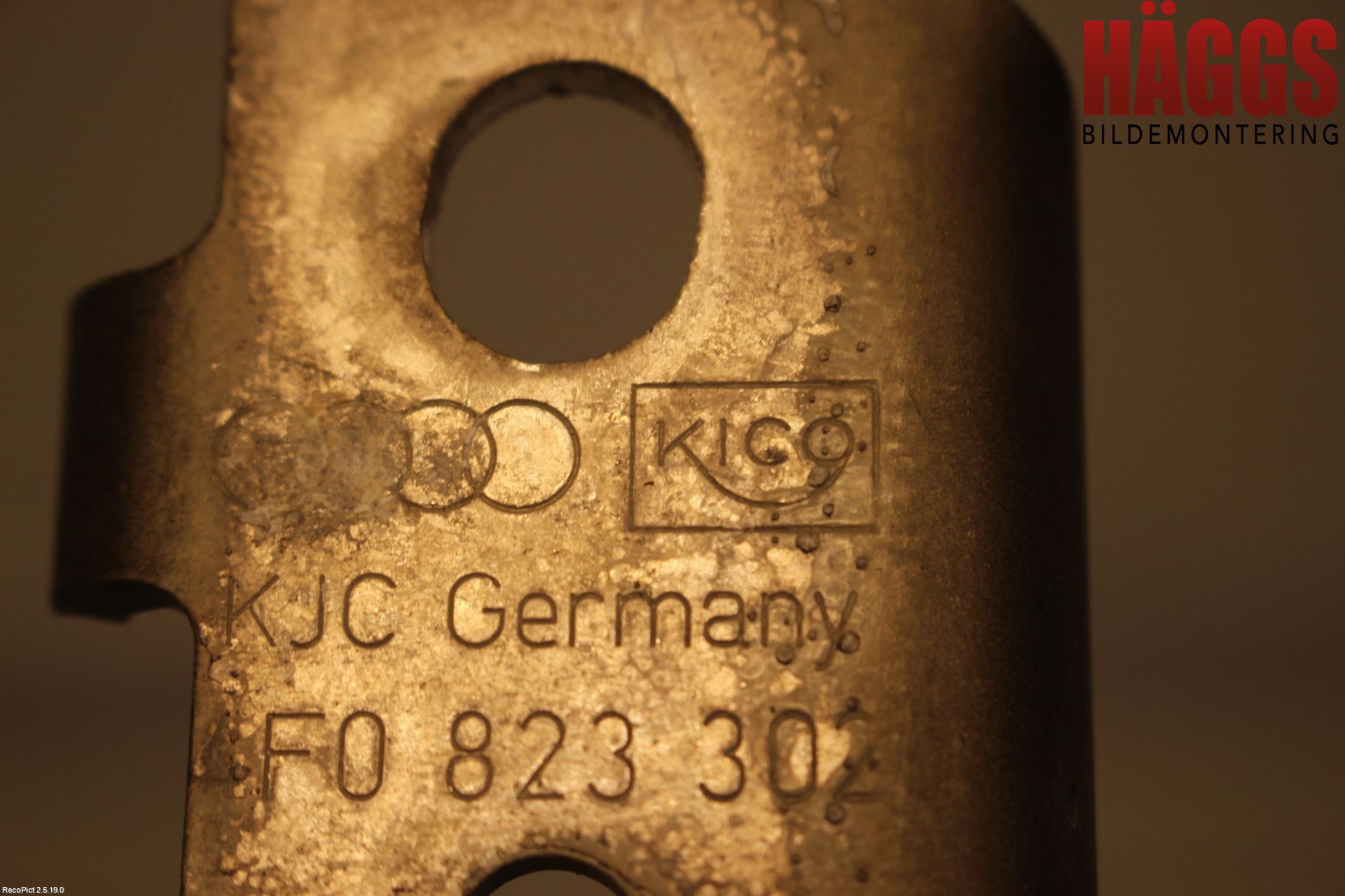 Audi A6/S6     05-11 Huvgångjärn