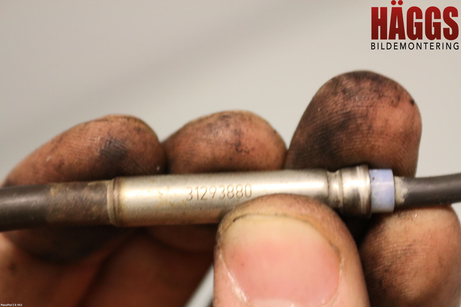Volvo V60 14-18 Sensor Avgas