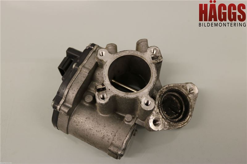 Nissan NV400 12-24 Egr Ventil