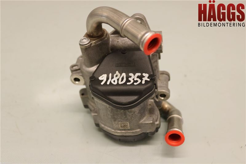 Volkswagen VW TIGUAN 16-24 Egr Ventil