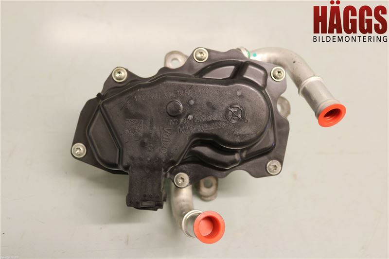 Volkswagen VW GOLF / E-GOLF VII 13-20 Egr Ventil