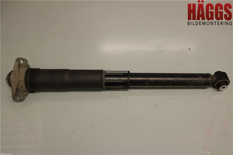 Volkswagen VW TIGUAN 16-24 Stötdämpare Bak