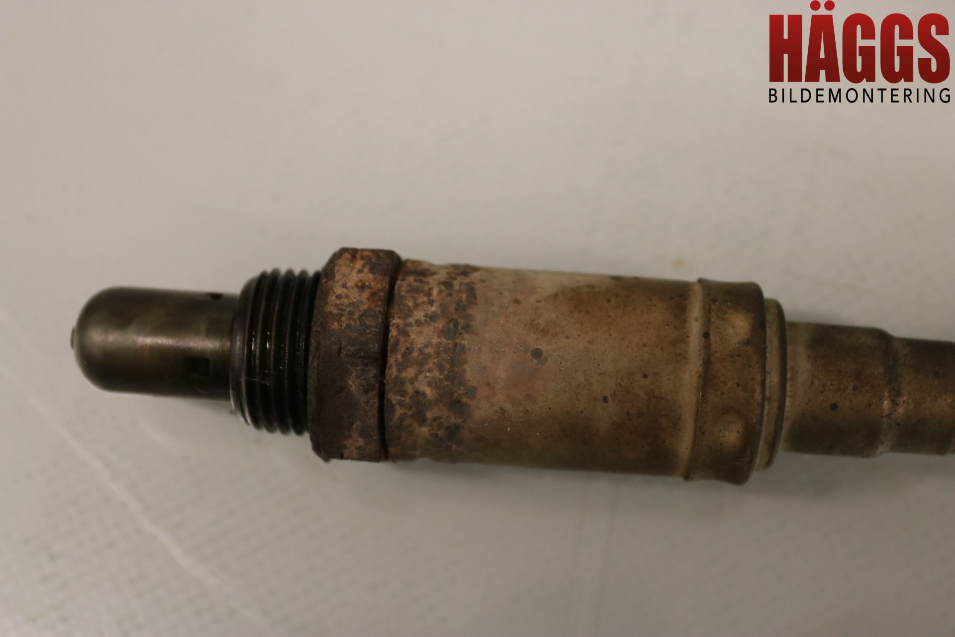 BMW 3 E46      98-05 Injlambdasond