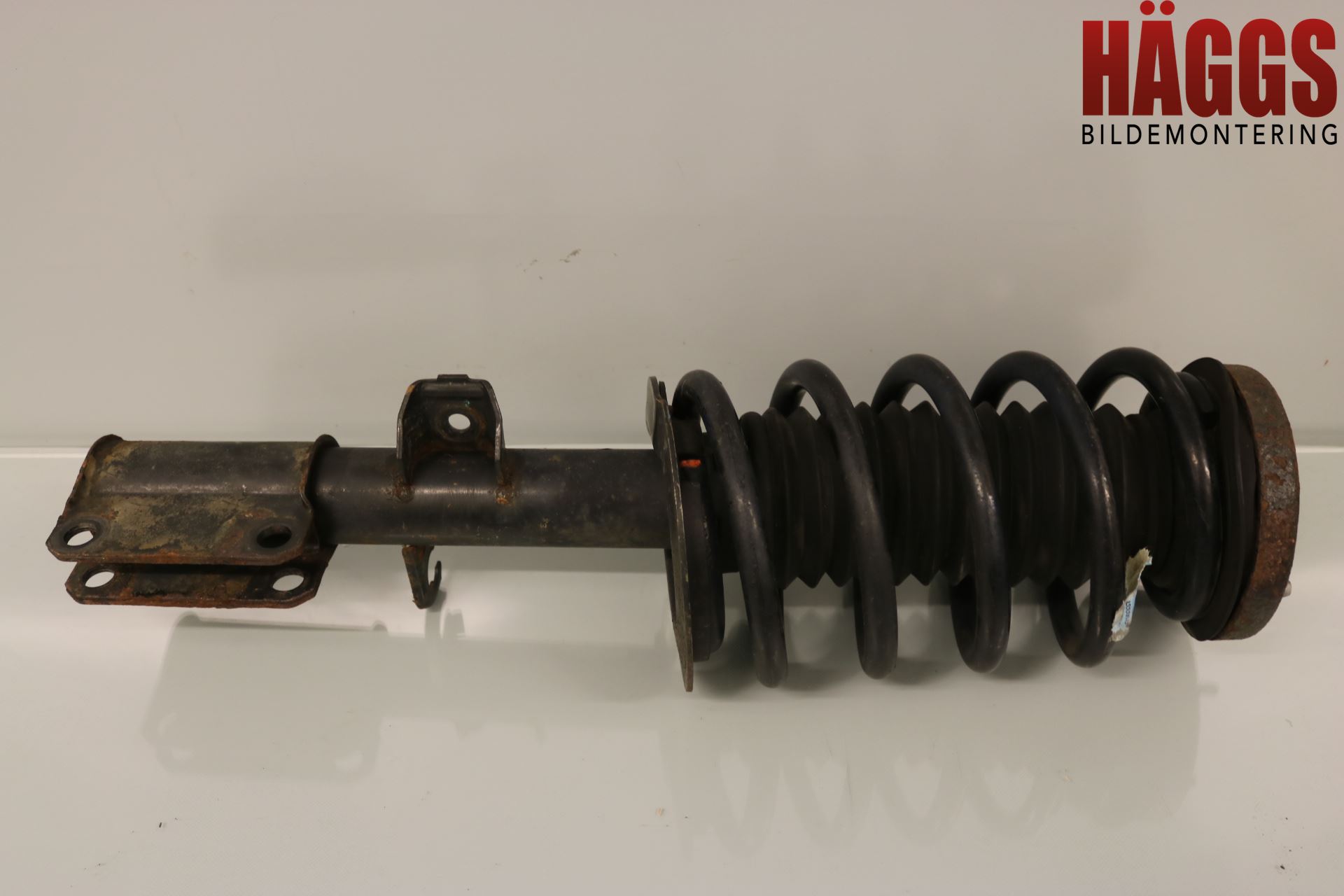 BMW X5 E53     99-06 Fjäderben Fram Vänster