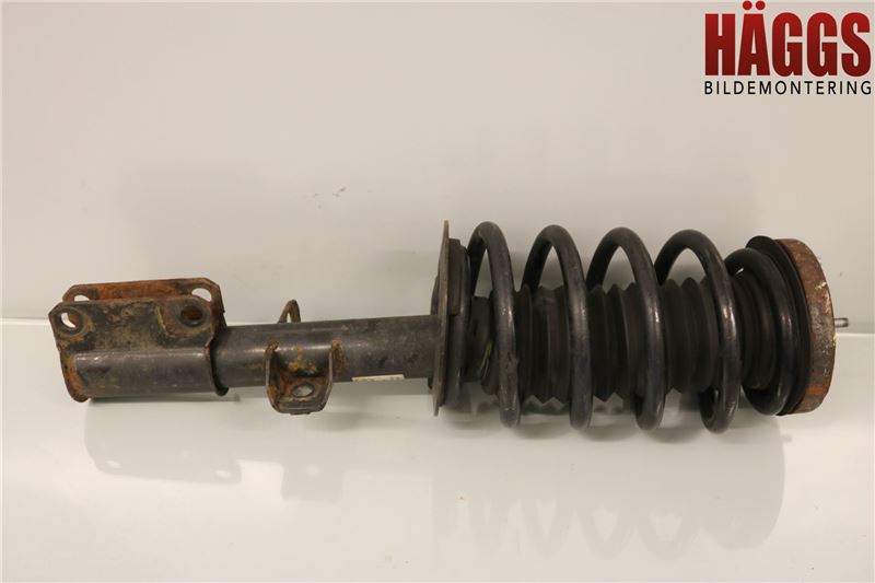 BMW X5 E53     99-06 Fjäderben Fram Höger