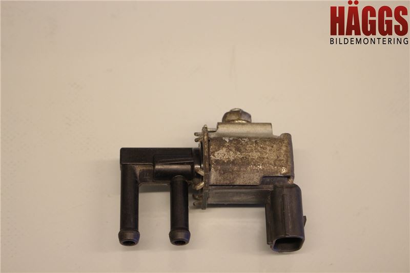 Suzuki LIANA Kolkanister Ventil