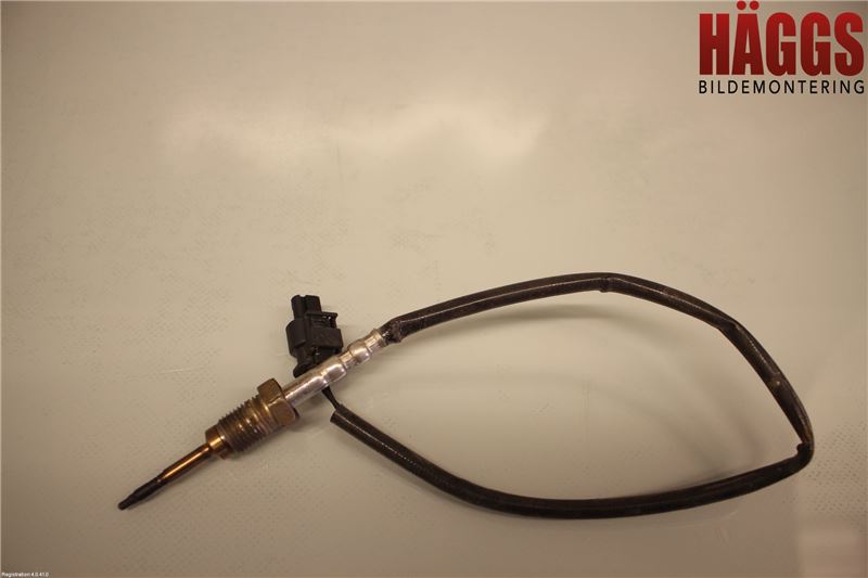 BMW 3 GT F34 13-19 Givare Temp-Tryck Avgas