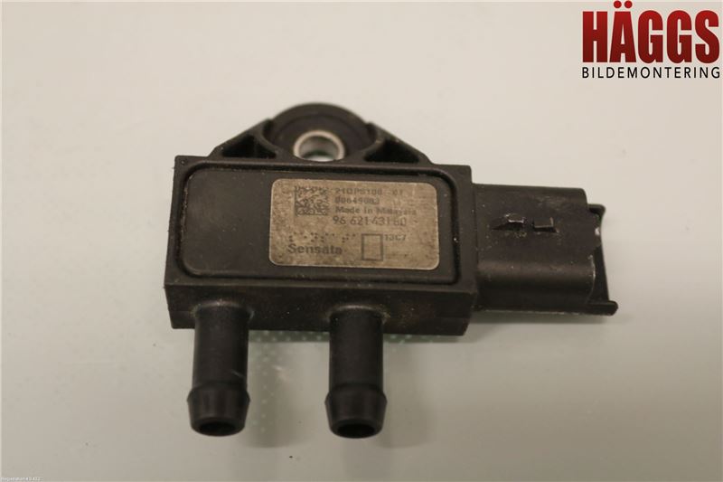 Peugeot 307     05-08 Sensor Avgas