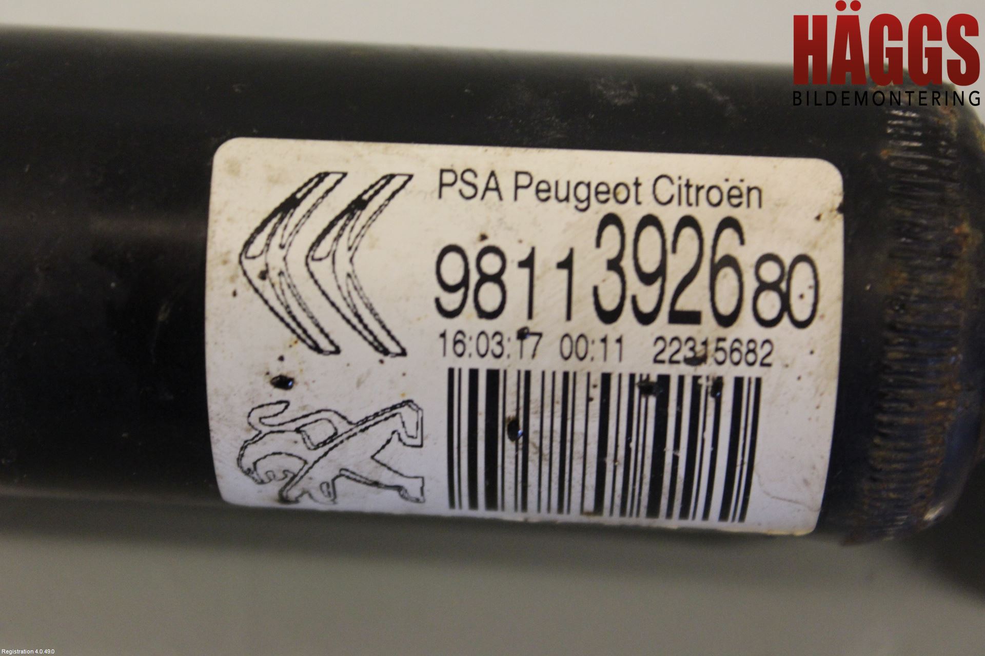 Citroen C3 AIRCROSS 18-23 Stötdämpare Bak