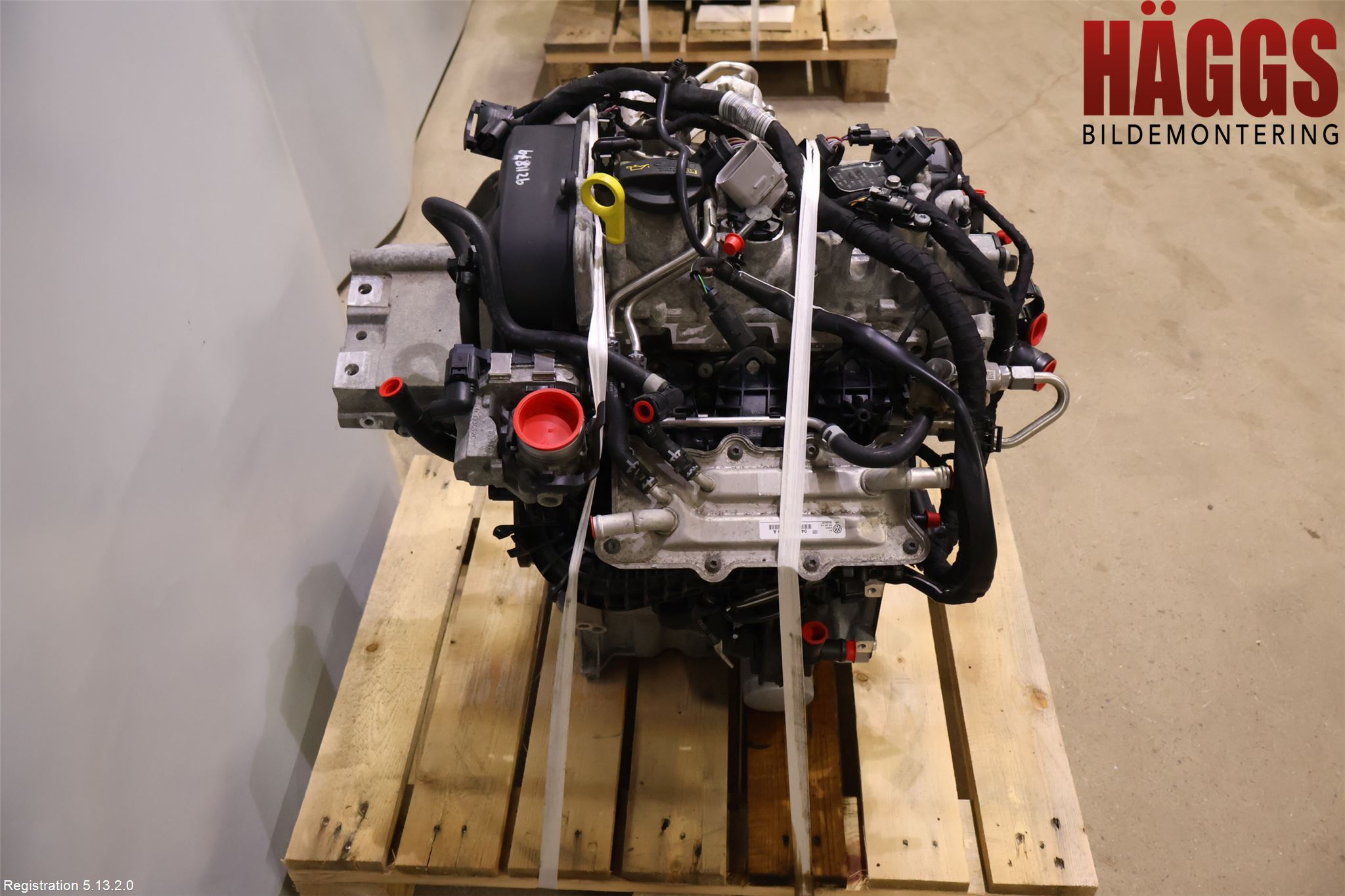 Volkswagen VW GOLF / E-GOLF VII 13-20 Motor Bensin