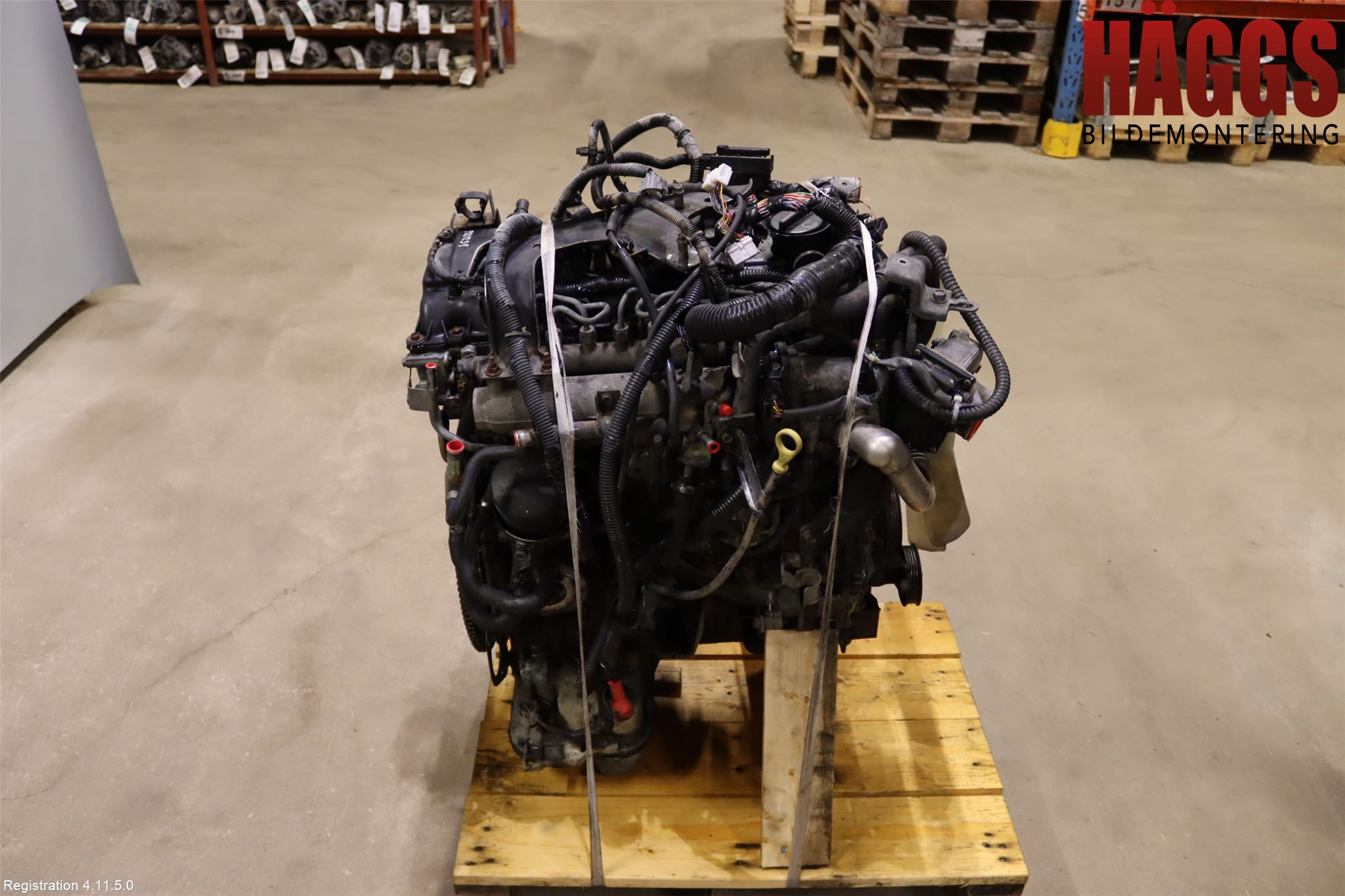 Nissan NAVARA 05-16 Motor Diesel