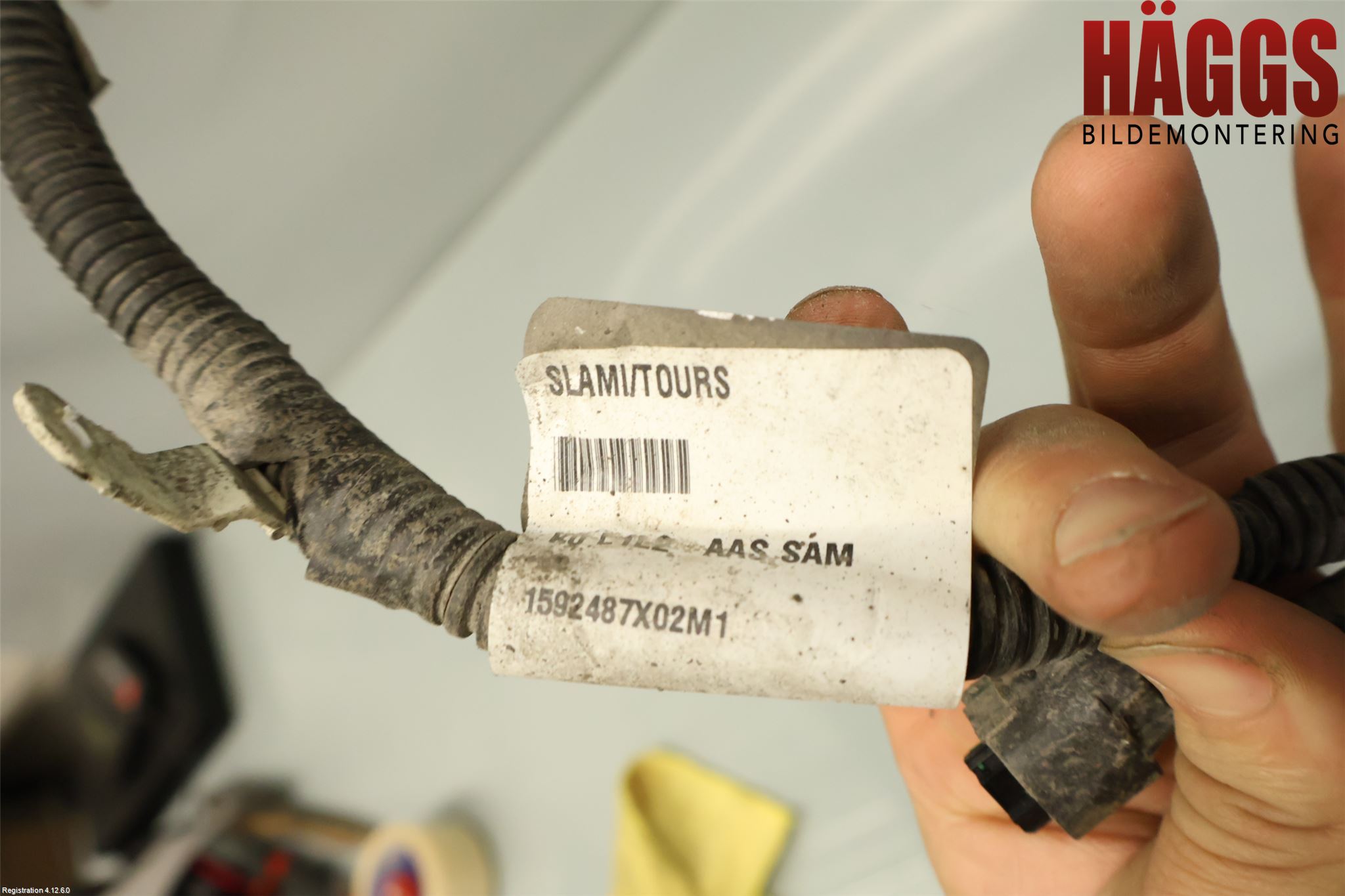 Peugeot EXPERT/E-EXPERT 17- Kabelhärva