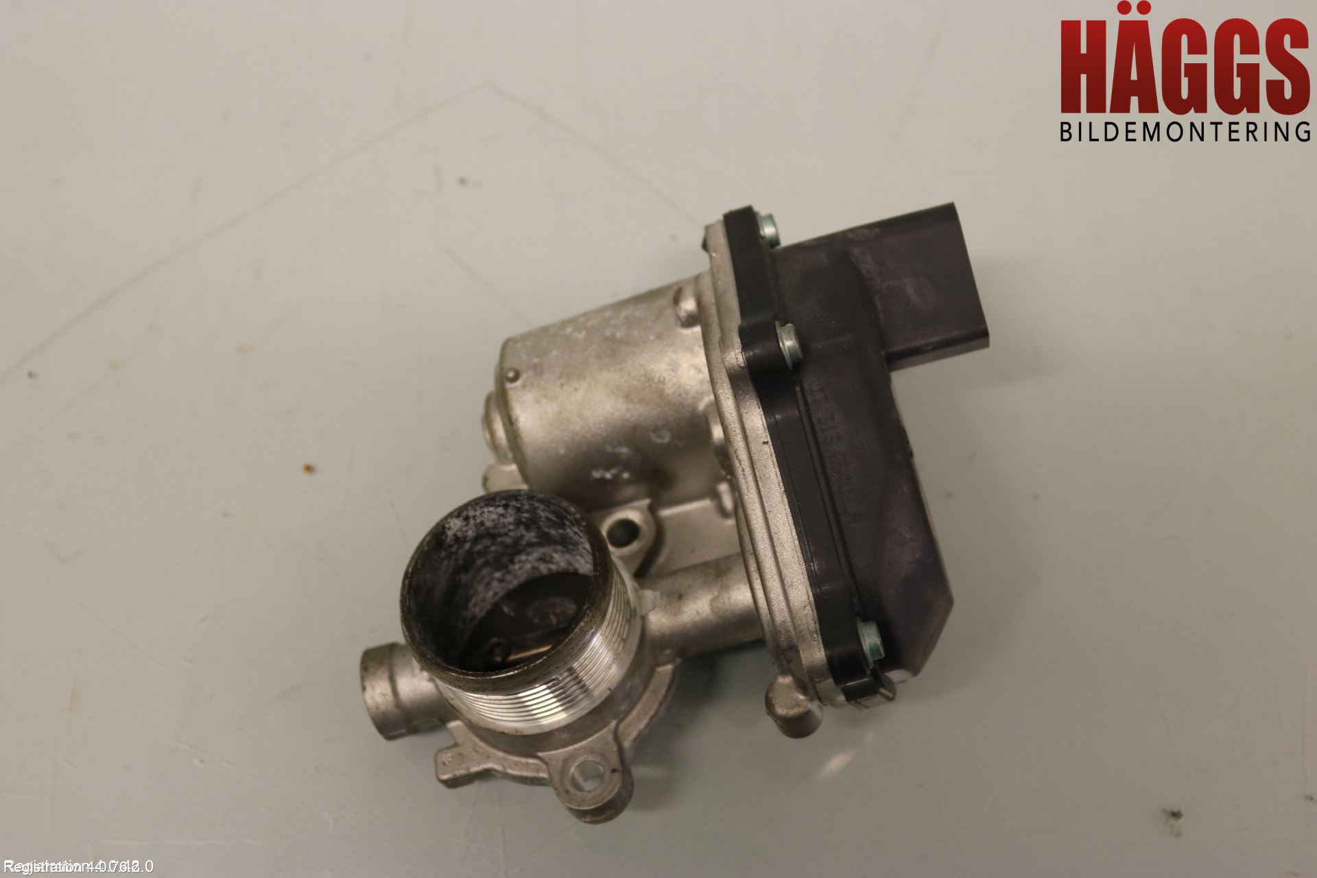 Skoda KODIAQ 17-24 Egr Ventil