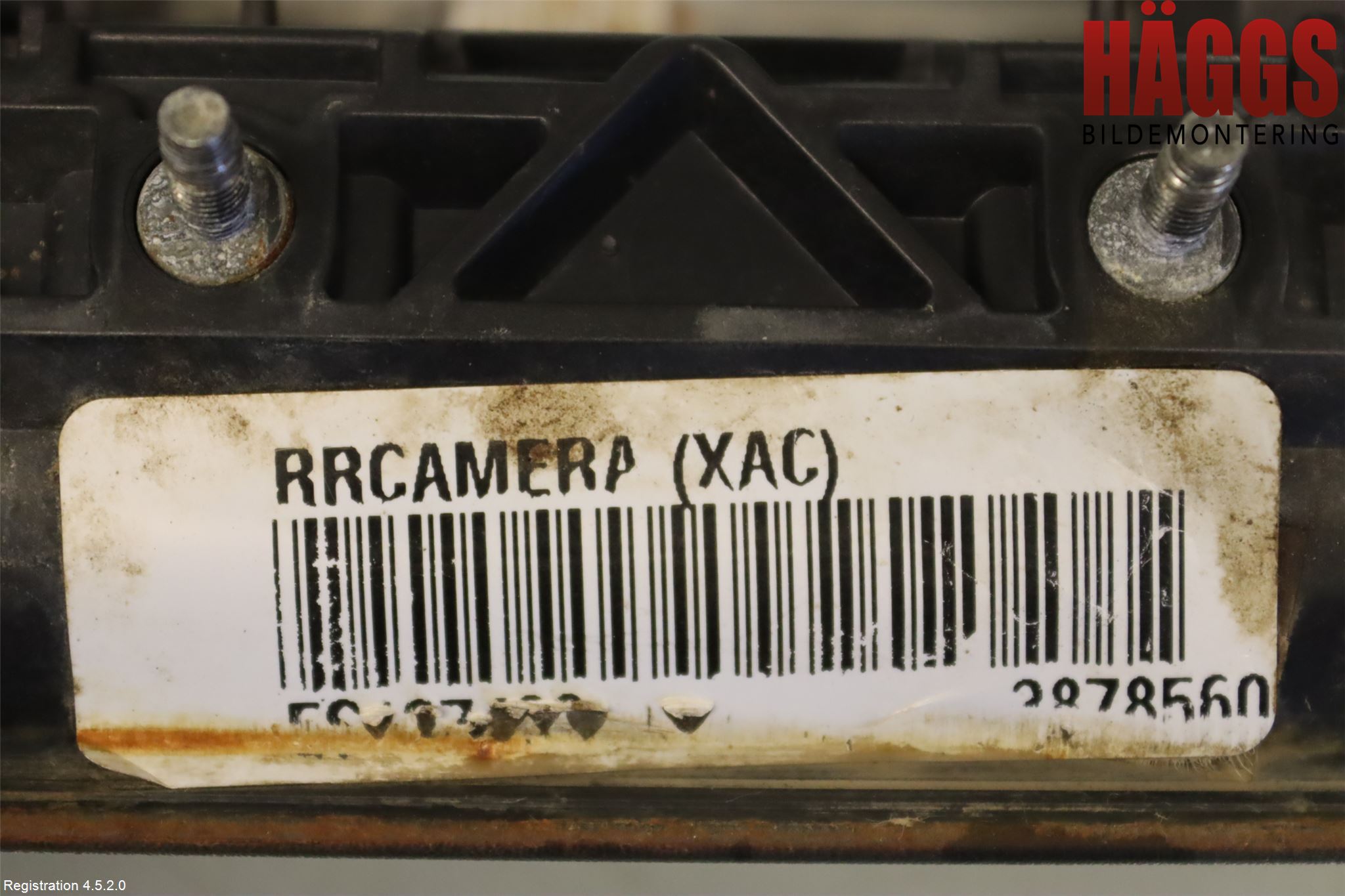 Dodge PICK UP RAM 81- Bakluckehandtag