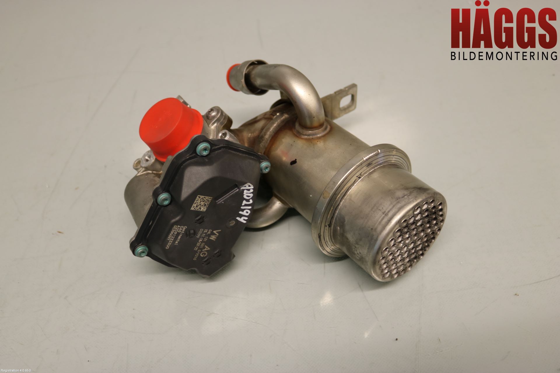 Volkswagen VW TIGUAN 16-24 Egr Ventil