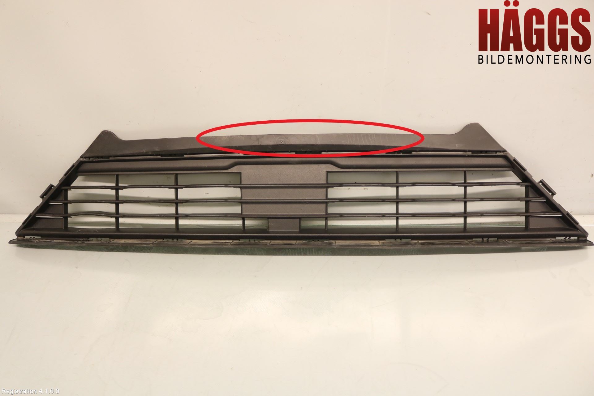 Ford FIESTA (VII) 18-23 Grill-Galler