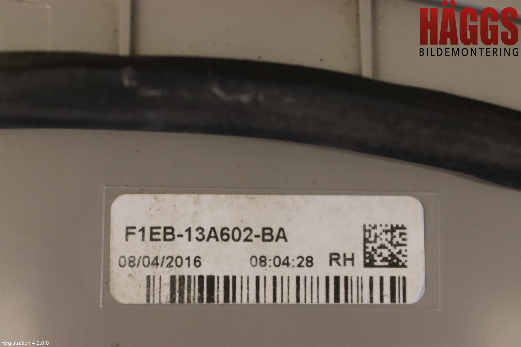 Ford FOCUS 15-18 Bakljus Lucka Hö