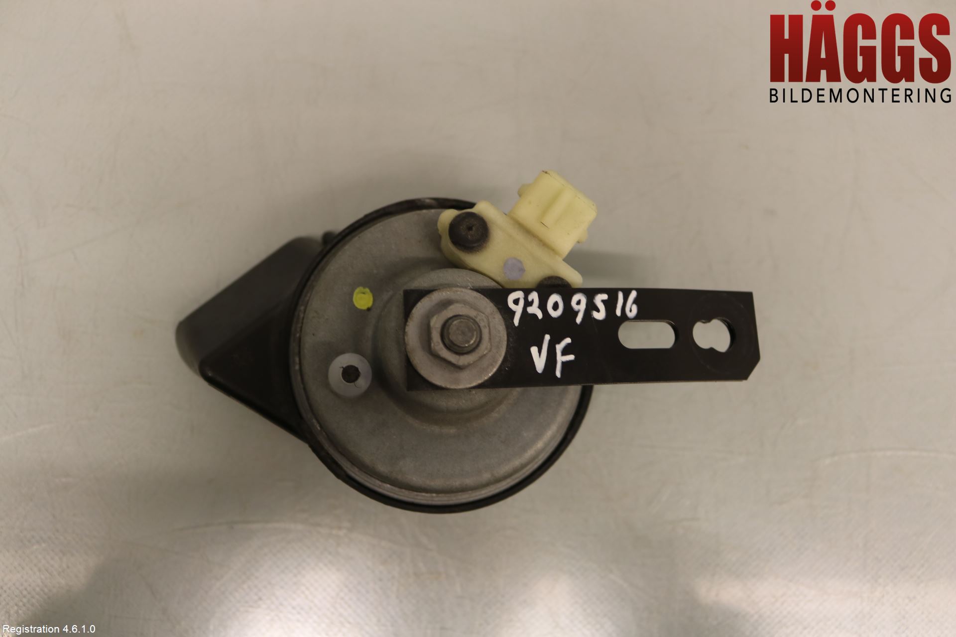 Renault ZOE/E-TECH 13- Signalhorn