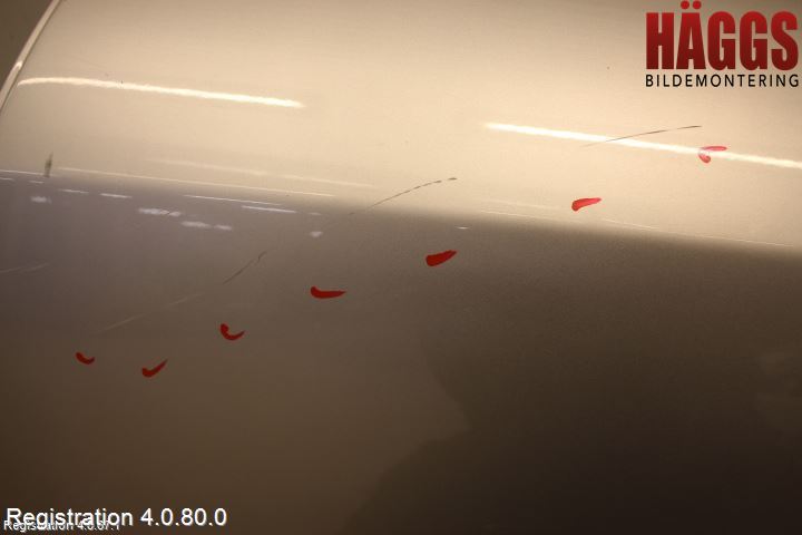 Renault MEGANE III 09-15 Dörr Bak Vänster