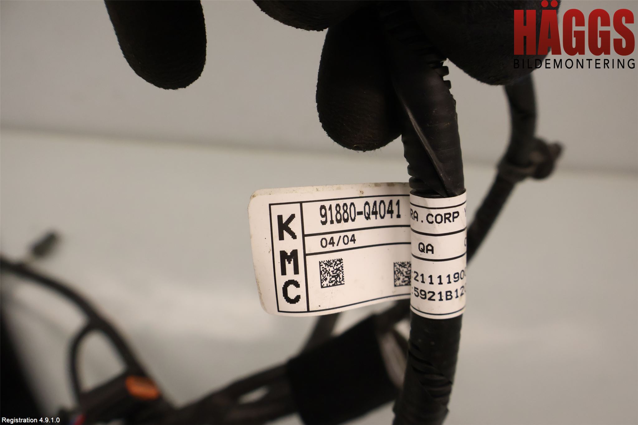 Kia NIRO (DE) 17-22 Kabelhärva