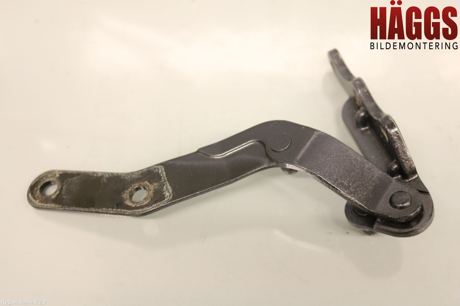 Tesla MODEL X 16- Dörrgångjärn