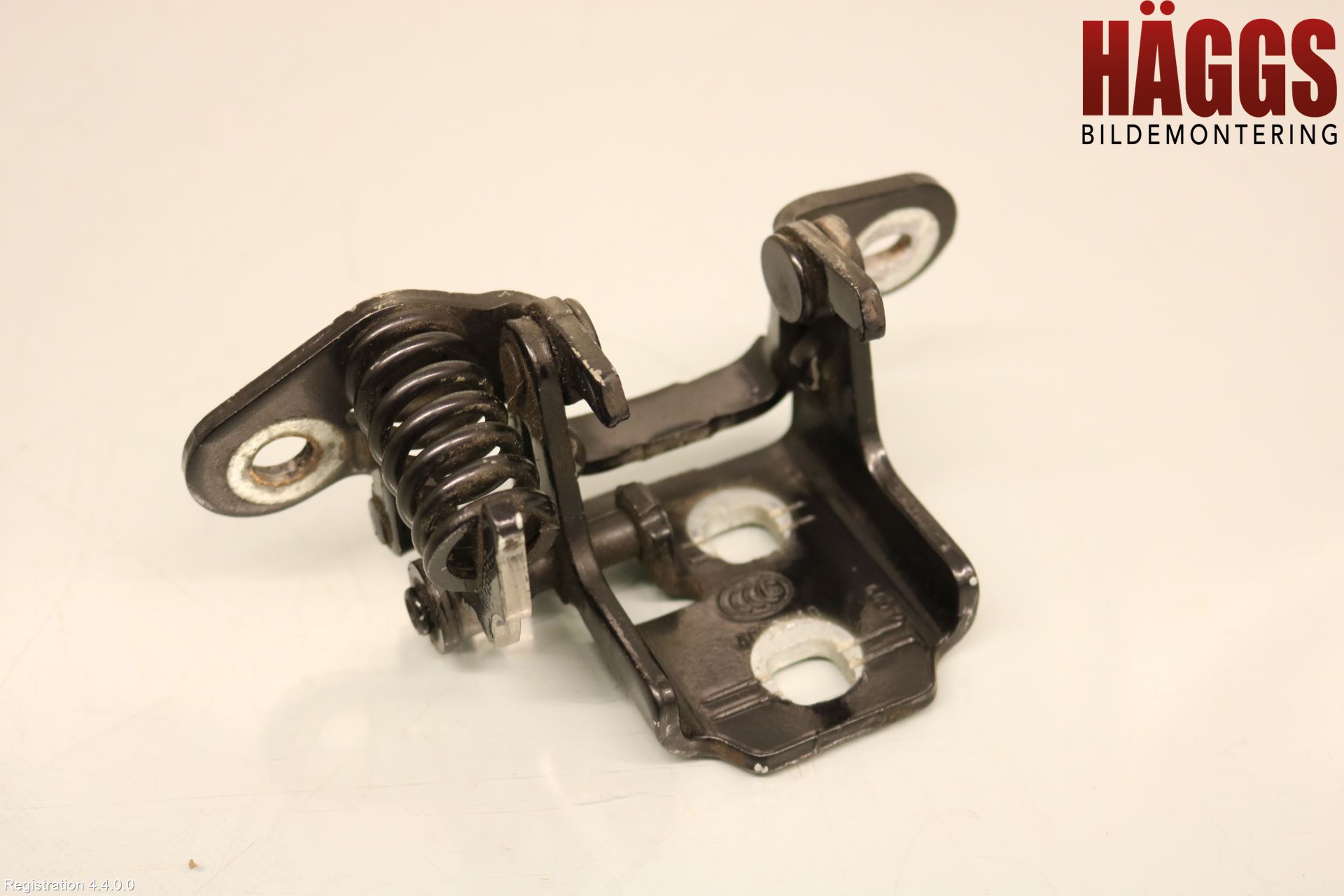 Fiat FREEMONT Dörrgångjärn