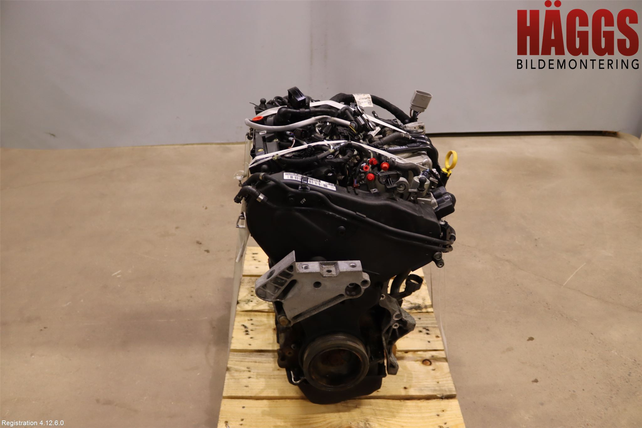 Volkswagen VW GOLF / E-GOLF VII 13-20 Motor Diesel