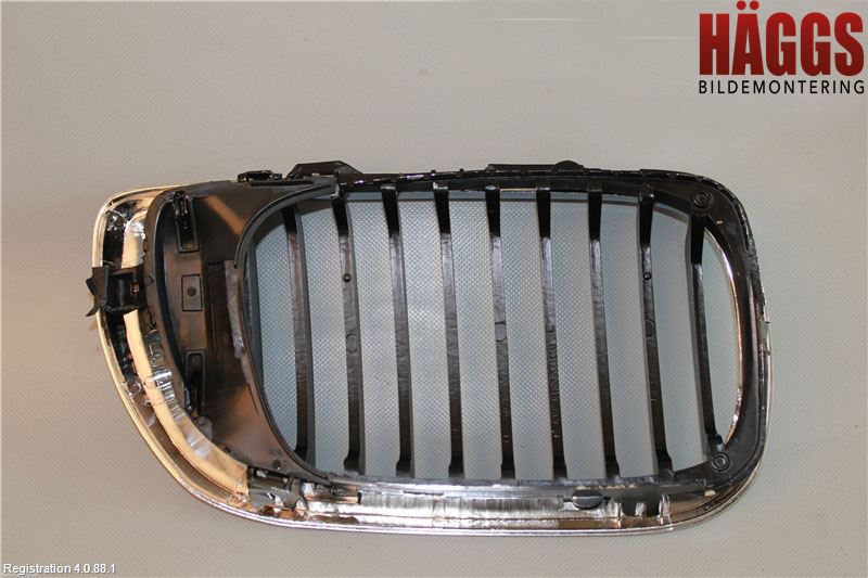 BMW 3 E46      98-05 Grill-Galler