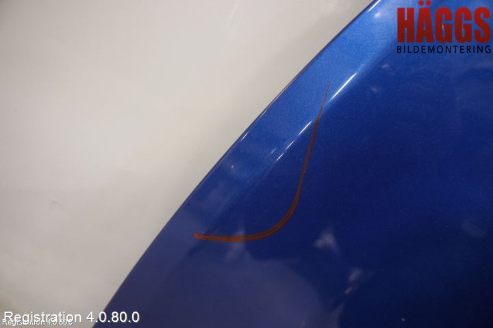 Renault CLIO III  06-09 Huv Fram